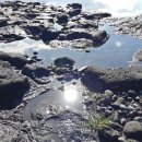 하례망장포로 이미지