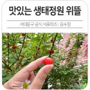 하루정원 | 위뜰에서 찾은 다섯 가지 감각의 하루 (맛있는 생태정원 후기)