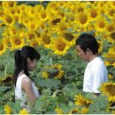 지금 만나러 갑니다 이미지