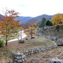 국립DMZ자생식물원방문자센터 이미지