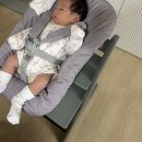 글라시아 | 스토케 트리트랩 글라시아 그린 웨이팅, 신생아 뉴본 사용후기