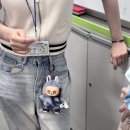화순중 이미지