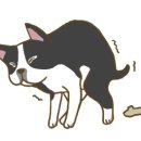 로얄동물메디컬센터w