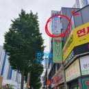 한가람행정사사무소 이미지