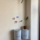 파즈앤토브 이미지