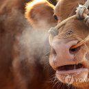 나루농장 이미지