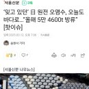 ‘잊고 있던’ 日 원전 오염수, 오늘도 바다로…“올해 5만 4600t 방류” [핫이슈] 이미지