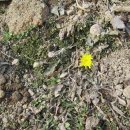 크린데이 이미지