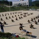 동두천고등학교 이미지