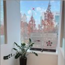 센트럴보청기 | 일산 보청기 후기, SNS 추천따라 유앤아이히어링 갔다가 감동받고 왔어요!