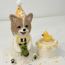 펫푸드스쿨 | 펫케이크 창업 Q&amp;A｜펫푸드 창업 수업 끝나고 가장 많이 막히는 4가지 현실 질문