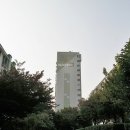 목동 이미지