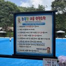 핫캠핑장 | 포천 글램핑 캠크닉 수영장•계곡 핫스팟 ‘백운계곡캠핑장’