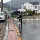 백구파출소 중앙일보