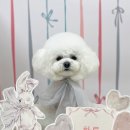 도기로움 이미지