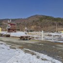 양평목장 이미지