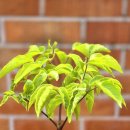 갈밭농장 이미지