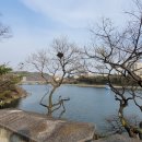 천황식당 이미지