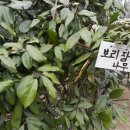 박종봉농장 이미지