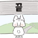 트래블373 네이버블로그