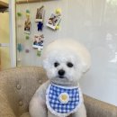 행복한미용