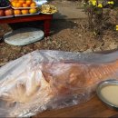 남부덕화 이미지