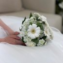 결혼식 D-day : 대전 메리비아포레 홀패키지 후기