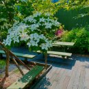 의료법인 로뎀의료재단 이미지