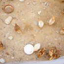 거북이민박 이미지