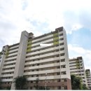 수원-1274 Daum카페