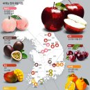 전국과일 - 청주시 흥덕구 과상미로59번길 17 | 전국과일