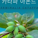 블랙워터 랩