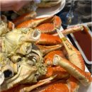 영덕대게 이미지