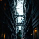 _ 혜숙님 _ _ 2024. 02. 15 강풀만화거리 사진 중에서 이미지