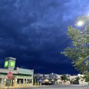 (주)리노다임 | 21.08-2 달빛의 조명 받아 함께 걷는 밤길