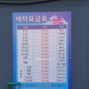 대성손세차