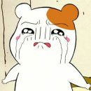 타짜 PC 이미지