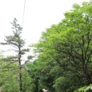 자양초등학교 이미지