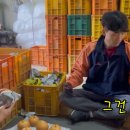 호준농장 티스토리