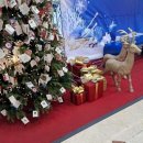 약손힐링마사지 이미지