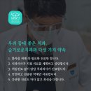 증상동 치과 전문의에게 진료 받아보세요 이미지