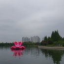 호수공원14로 이미지