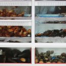 야무진포차 이미지