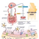 (주) 팜스토리 서울사료 인천 | 주사피부염(rosacea) 치료 후기“25년간 지속된 홍조와 요철, 신경을 잡자 진피가 반응했다