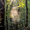 방배근린공원 (응봉약수터 옆) | 방배근린공원+매봉재산(서초구 방배동)