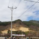 정금교