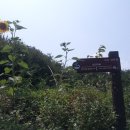 호암민박