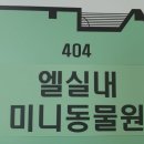 엘 미니동물원 네이버블로그