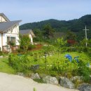 송학마을 이미지