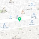 요미독 강아지분양 요미캣 고양이분양 목동점 이미지